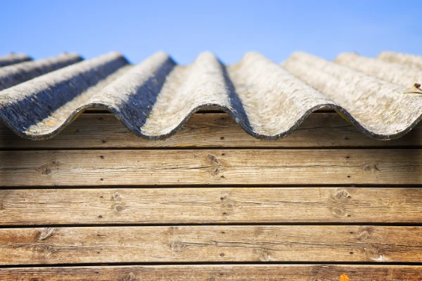 Asbestos Testing