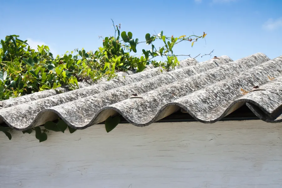 Reliable Asbestos Contractor