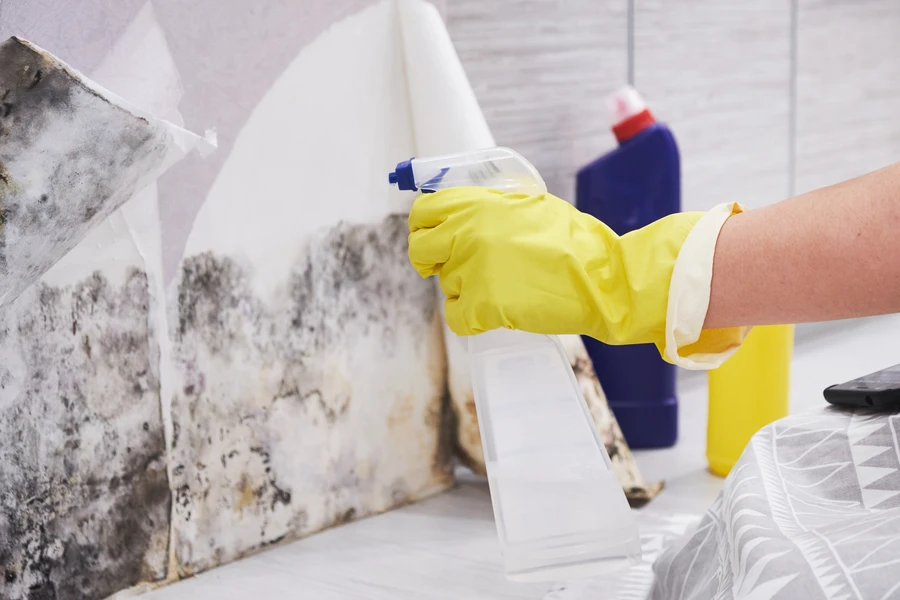 How Mold Removal Reduces Health Risks In Asbestos Areas in Chester, PA