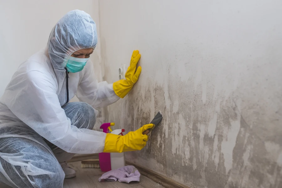 Professional Mold Remediation Chester, PA