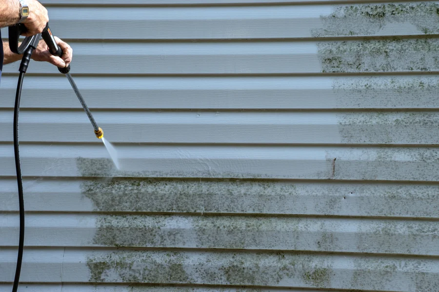 Quality Mold Removal Chester, PA Quality Mold Removal Chester, PA