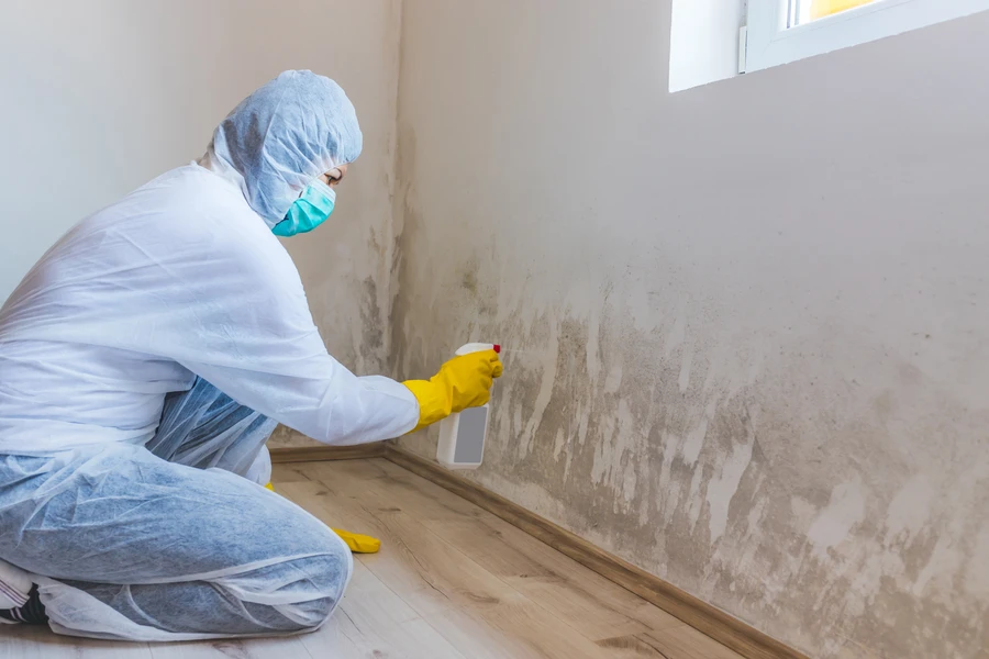 Reliable Mold Remediation Chester, PA