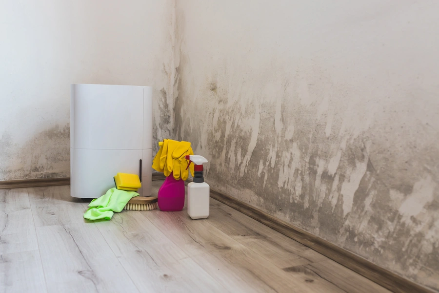 The Role Of Mold Removal In Safe Asbestos Abatement Chester, PA The Role Of Mold Removal In Safe Asbestos Abatement Chester, PA